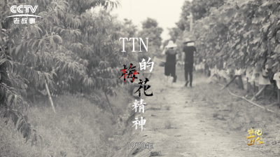 TTN's plum blossom spirit